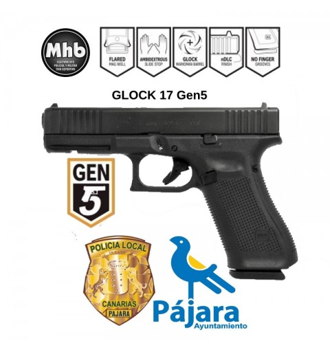 VEGA PLATAFORMA MOLLE